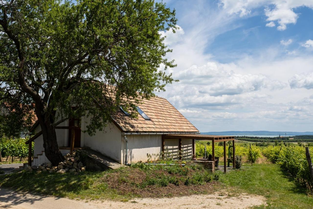 Tagyon Birtok Mandula Apartmanhaz Buitenkant foto